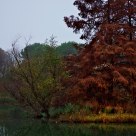 November colors